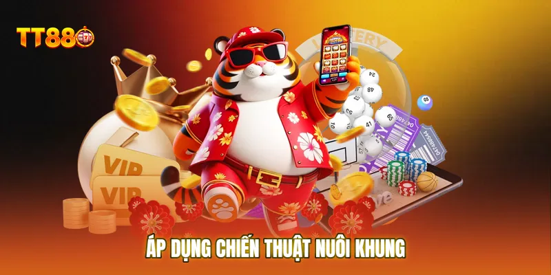 Áp dụng chiến thuật nuôi khung và thống kê để tăng tỷ lệ thắng