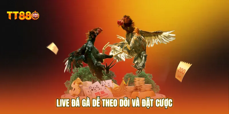 Live đá gà dễ theo dõi và đặt cược ngay cả khi xem bóng đá trực tiếp