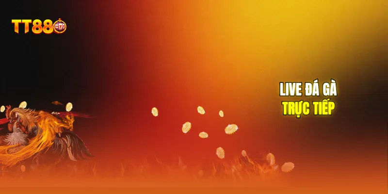 Live đá gà trực tiếp